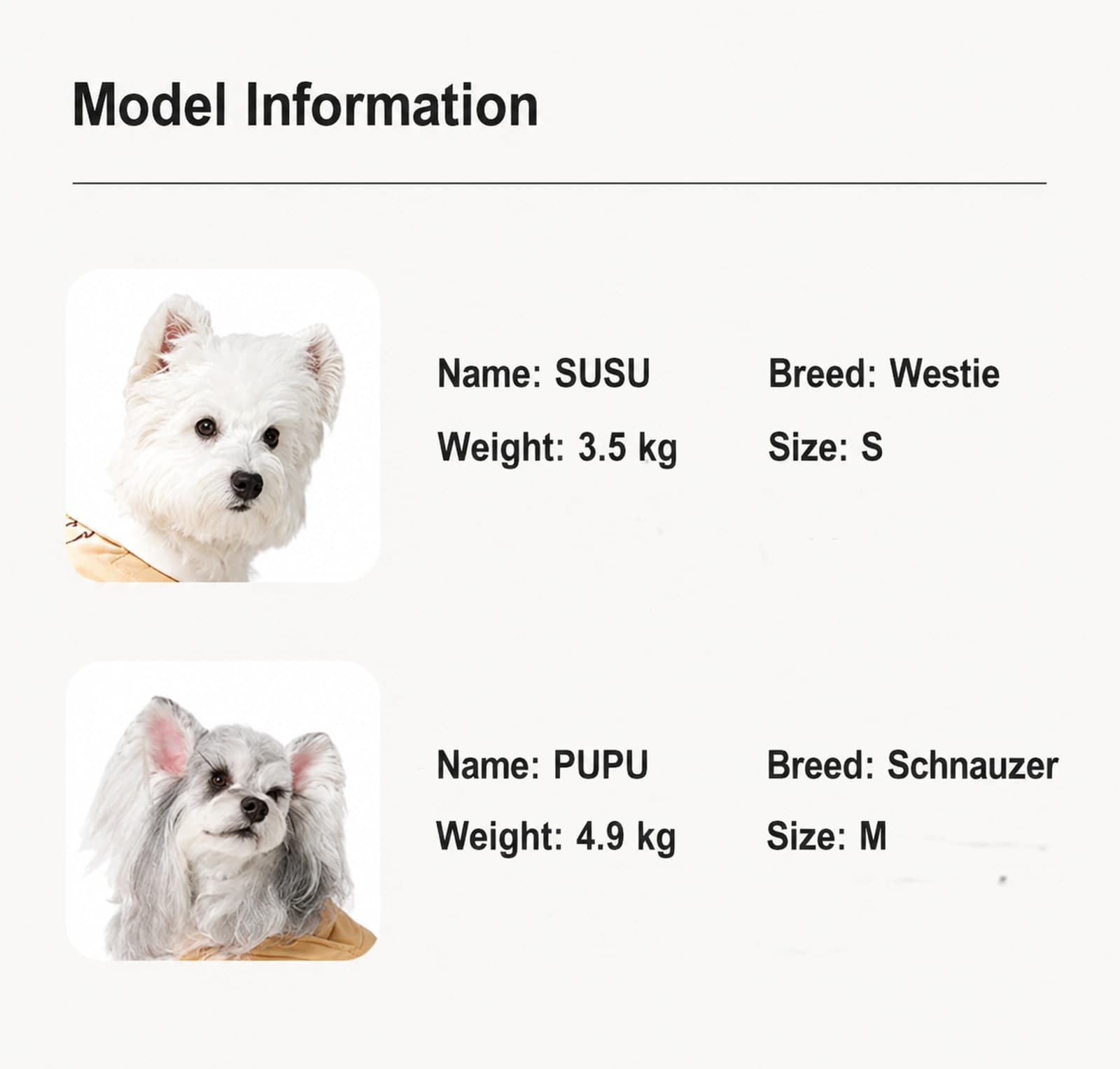 Alpine Fleece Base Layer - Image 12