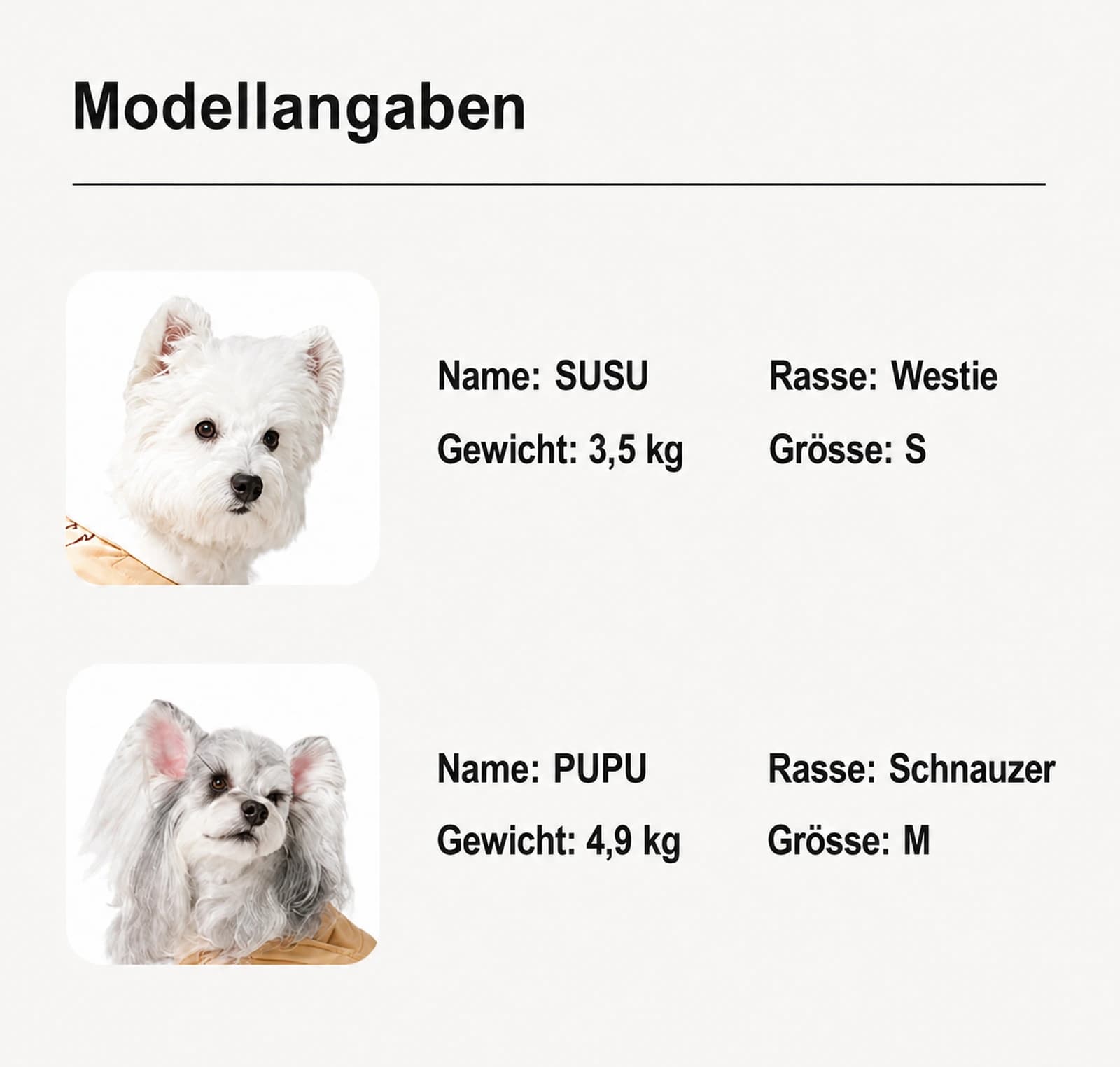 Alpine Fleece Base Layer - Image 12