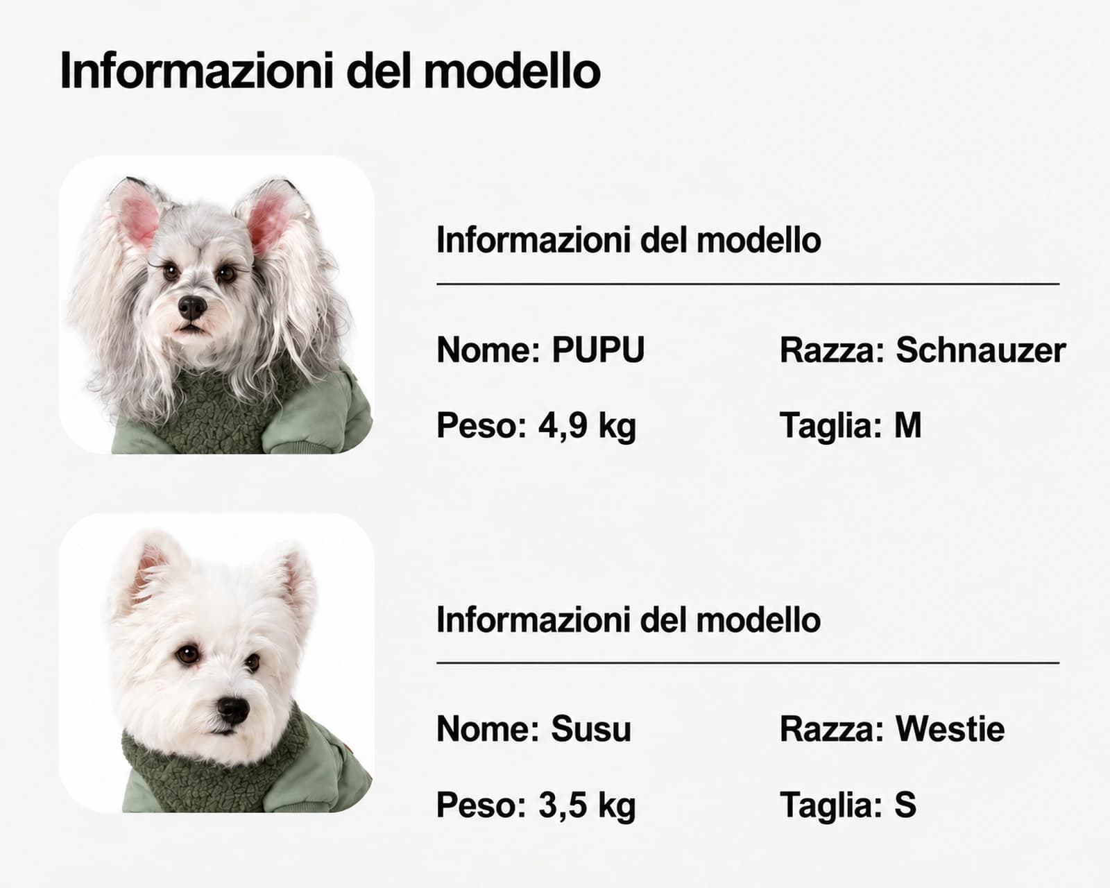 Cappotto imbottito trapuntato Couture - Image 6