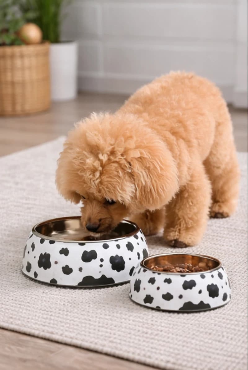 Ciotola Pawprint Dining con inserto in acciaio inox - Image 1