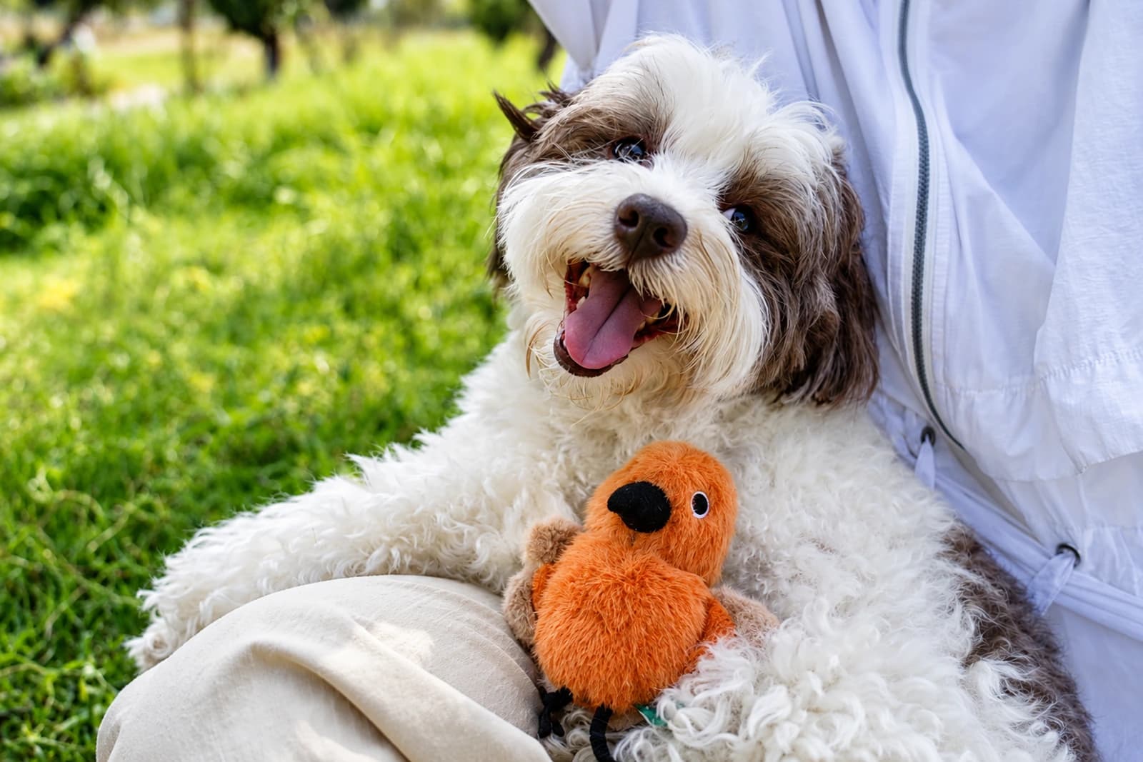 Birdie Buddy Charm Toy - Image 2