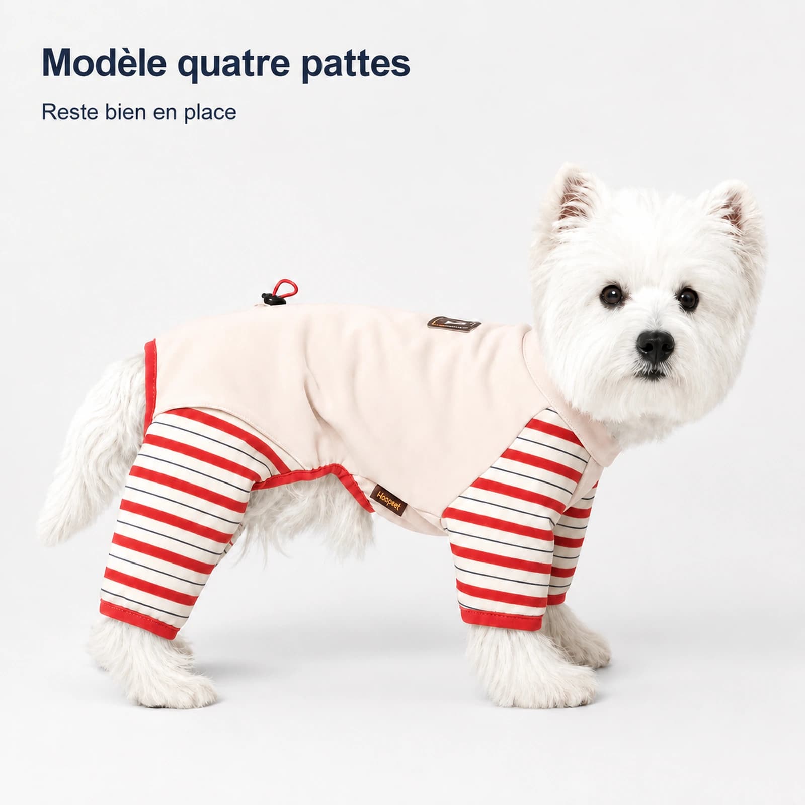 Sous-couche quatre pattes à rayures latte - Image 2