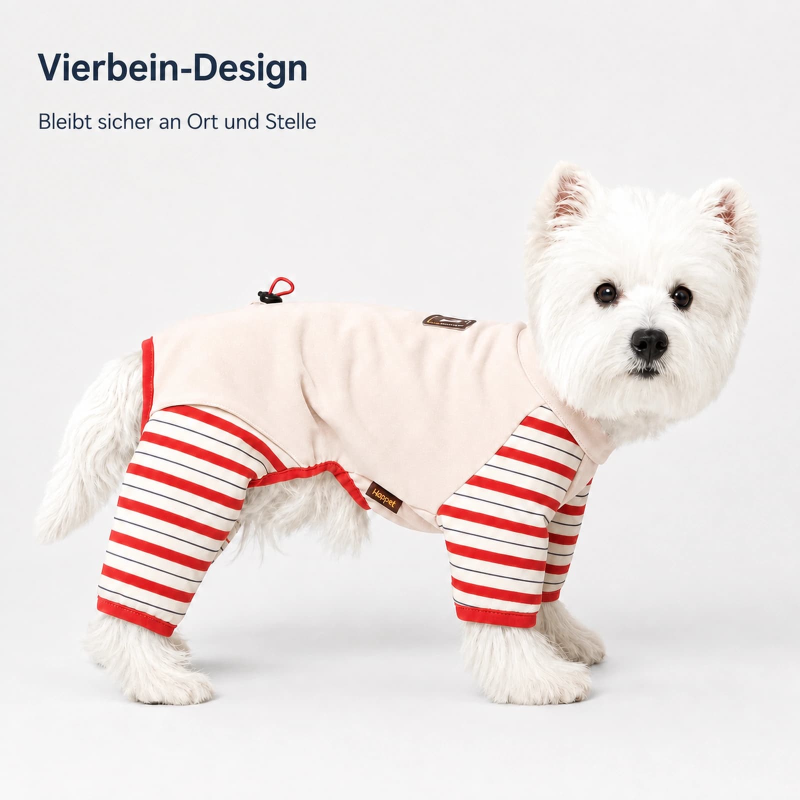 Latte Stripe Vierbein-Baselayer - Image 2
