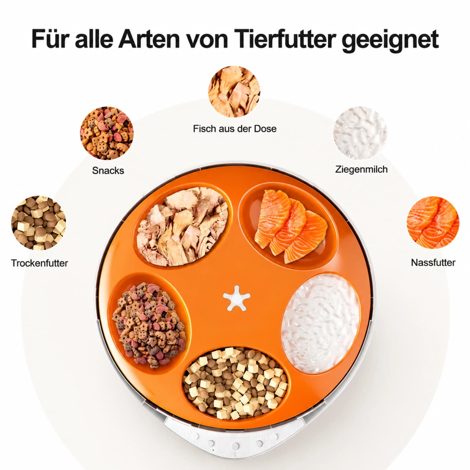 Smart Distributore per Cibo Secco e Umido - Image 2