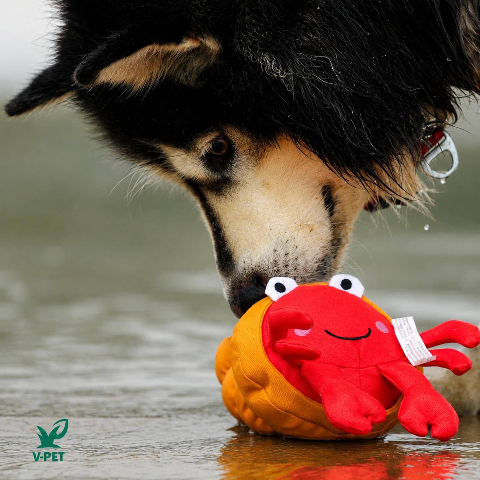 Save Our Sea Eco Play Collection - Image 12