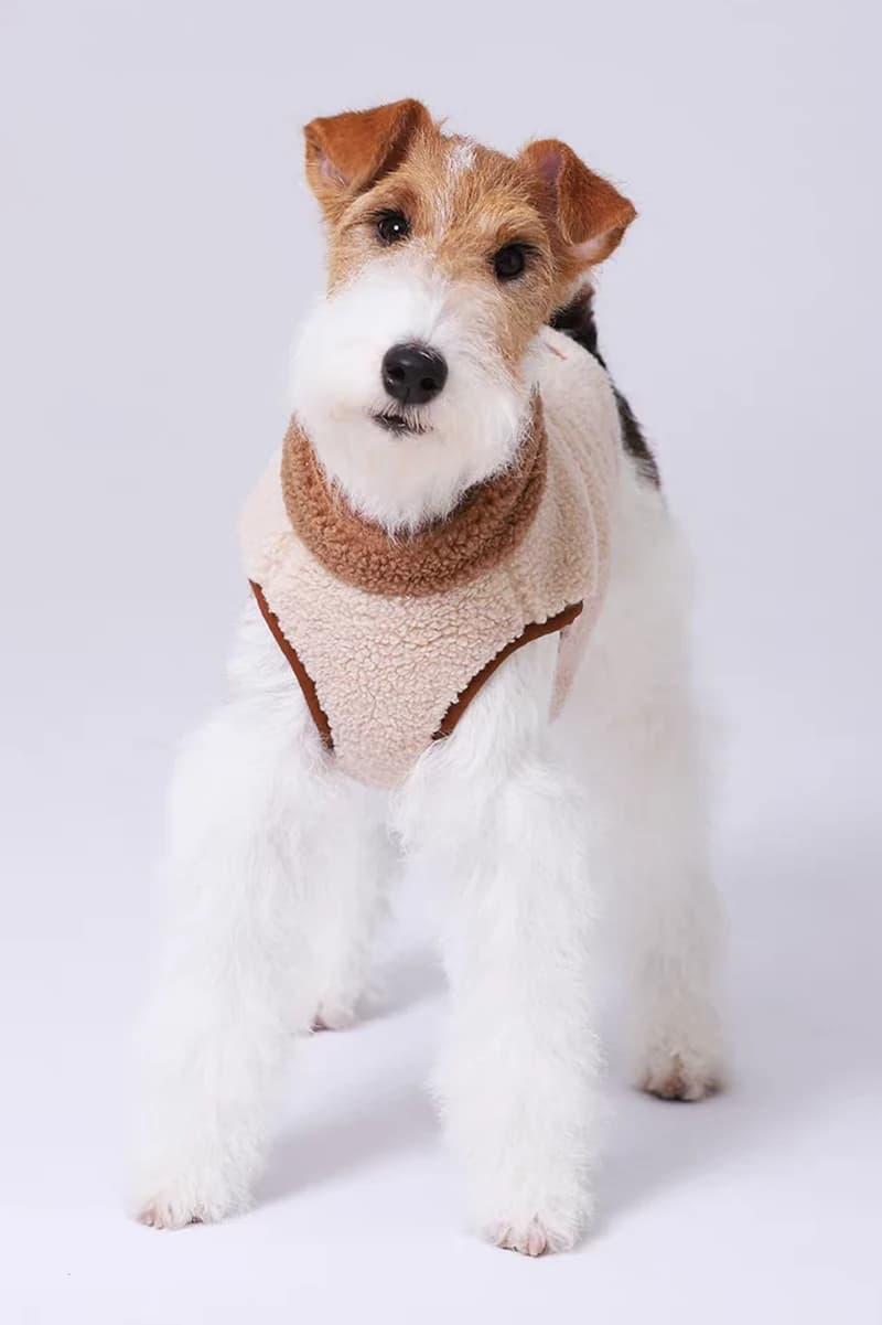 Pawla DualSoft Fleece-Vest - Image 10