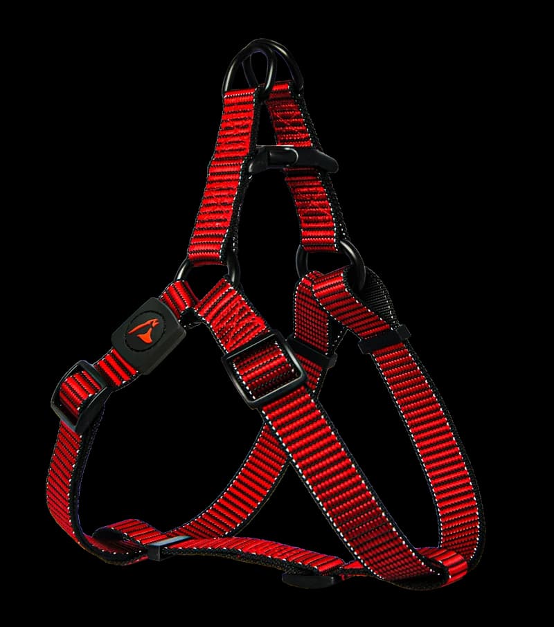 TrailPaw Martini Reflect Harness - Image 2