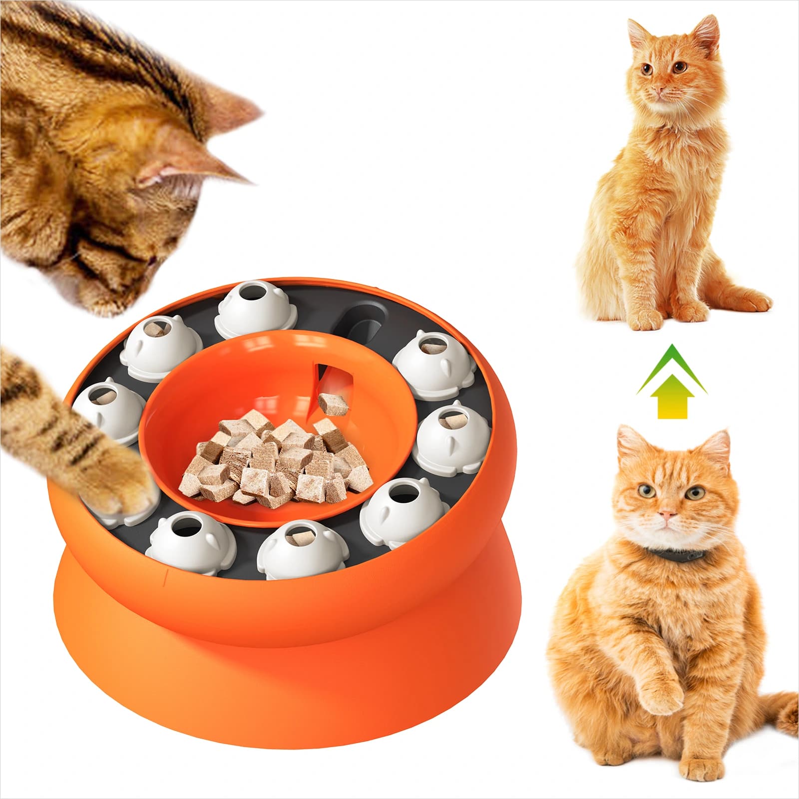 MindfulPace Cat Bowl - Image 1