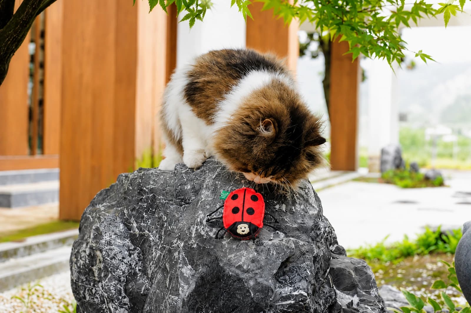 Eco Muse Catnip Toy - Image 16