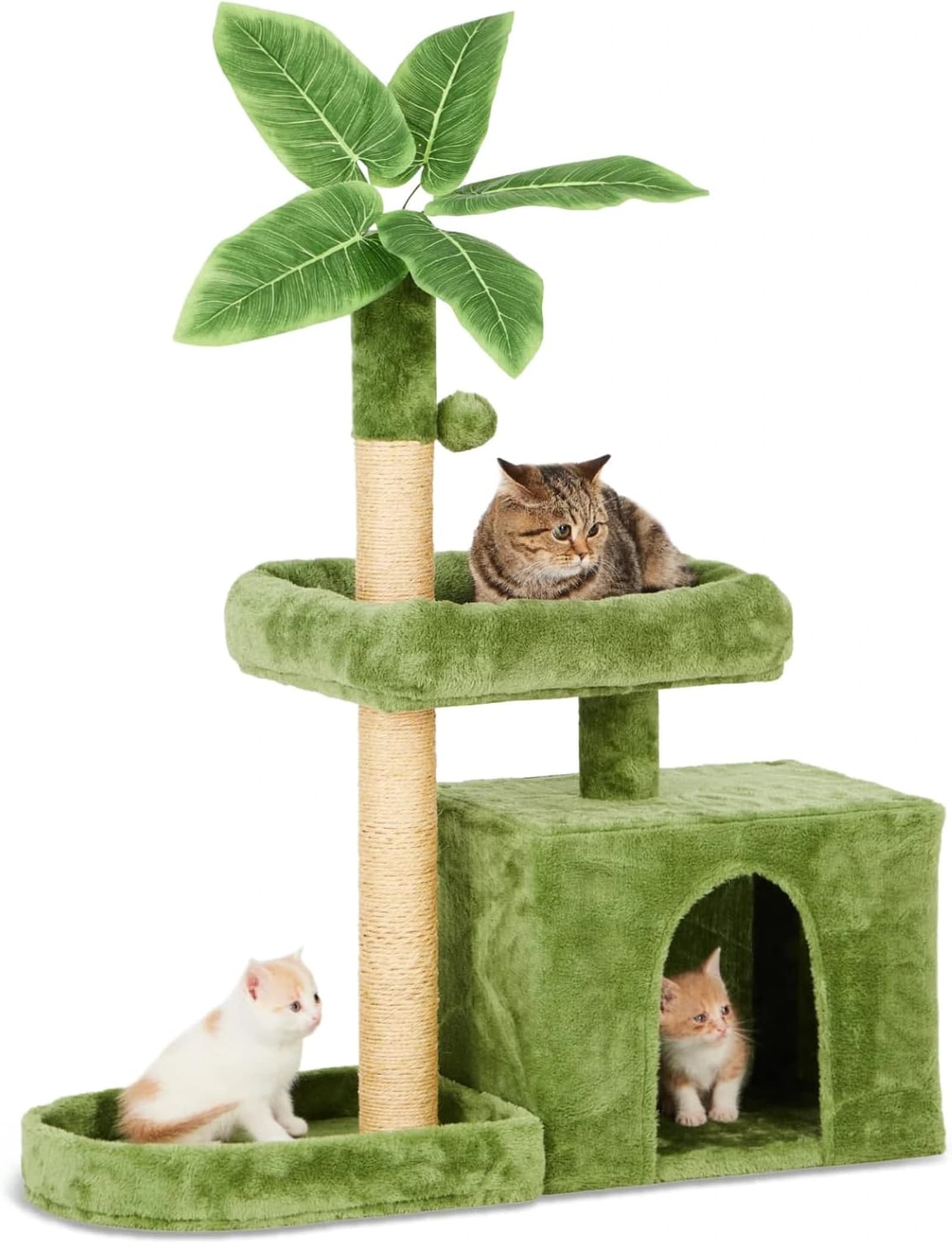 Condominio per gatti Palm Tree - Image 1