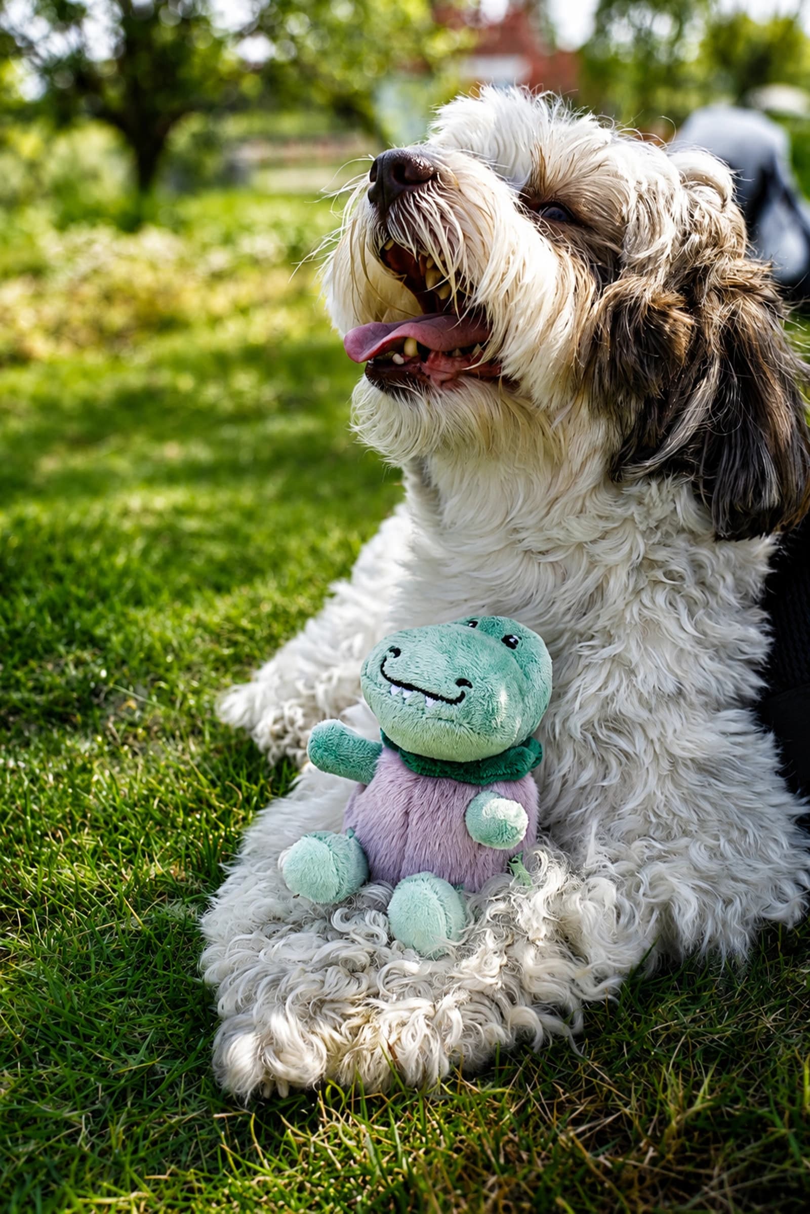 Aubergine Dino Delight Toy - Image 2