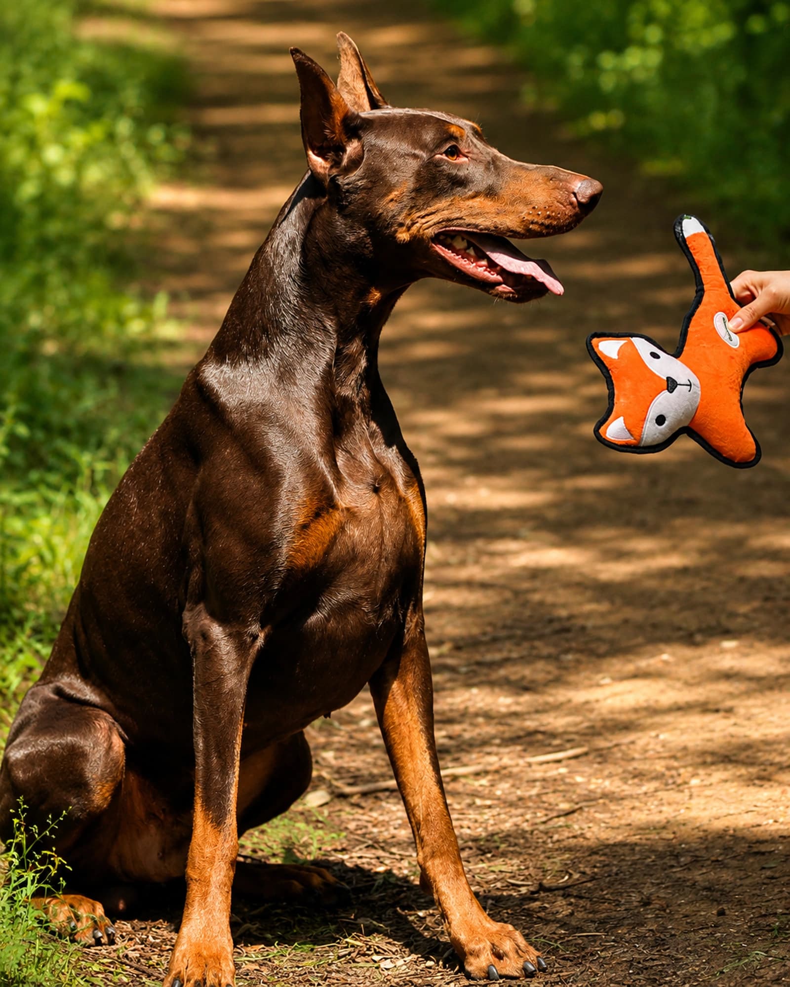 No Hunting Adventure Toy - Image 33