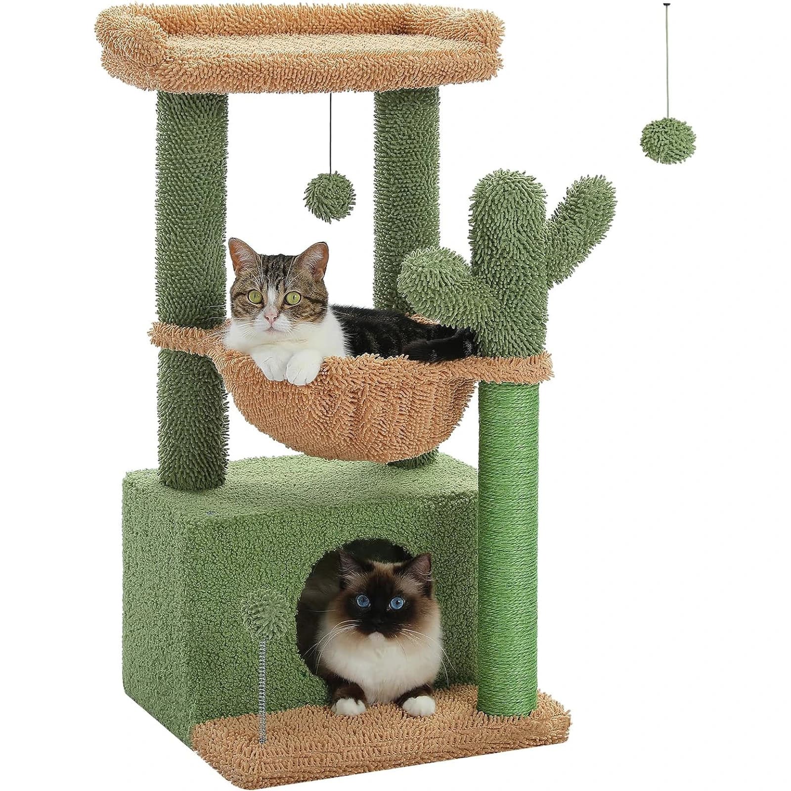 Chasa da giatter cactus - Image 1