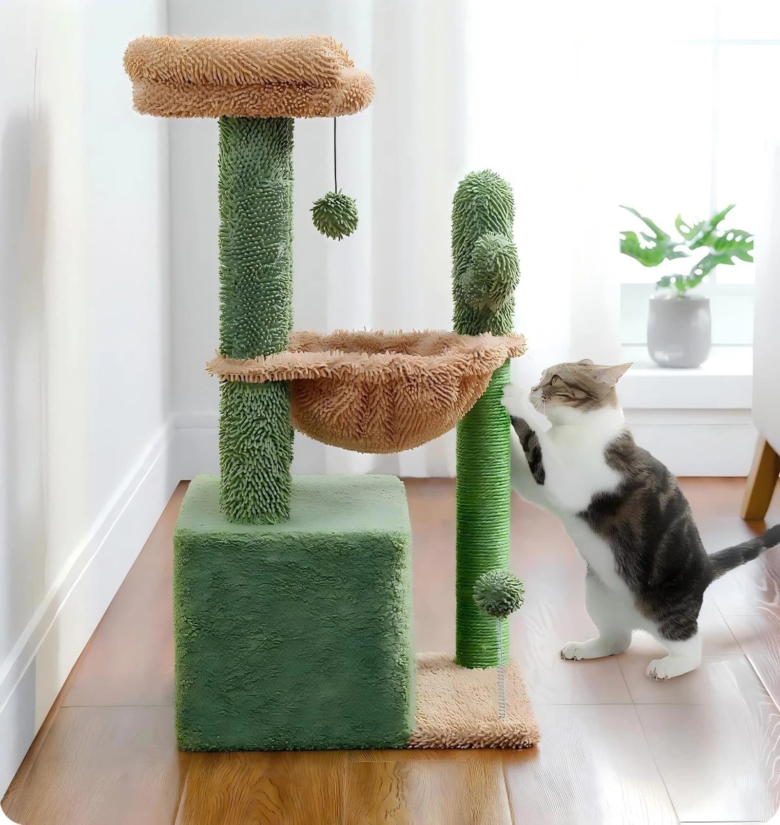 Chasa da giatter cactus - Image 2