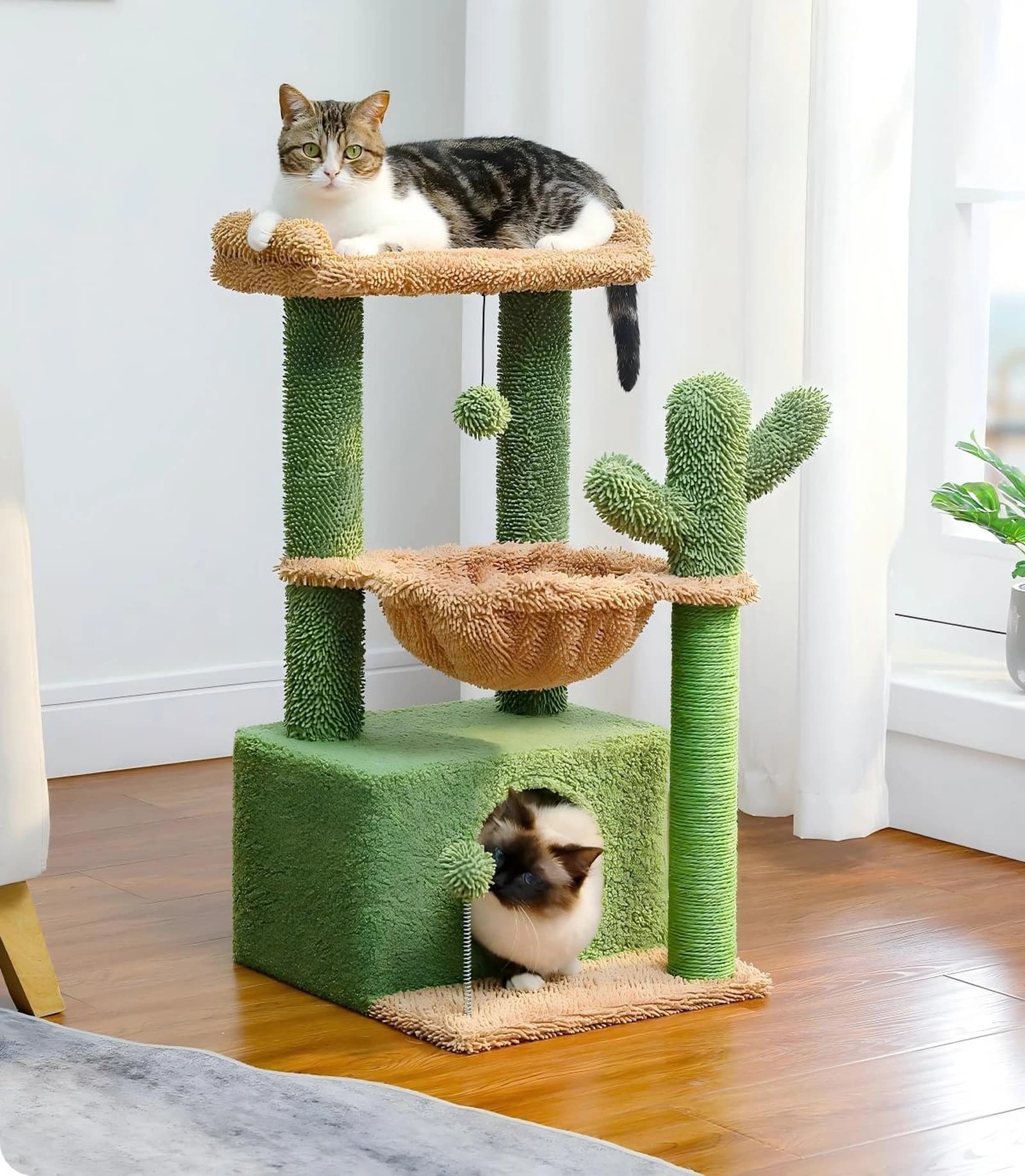Chasa da giatter cactus - Image 4