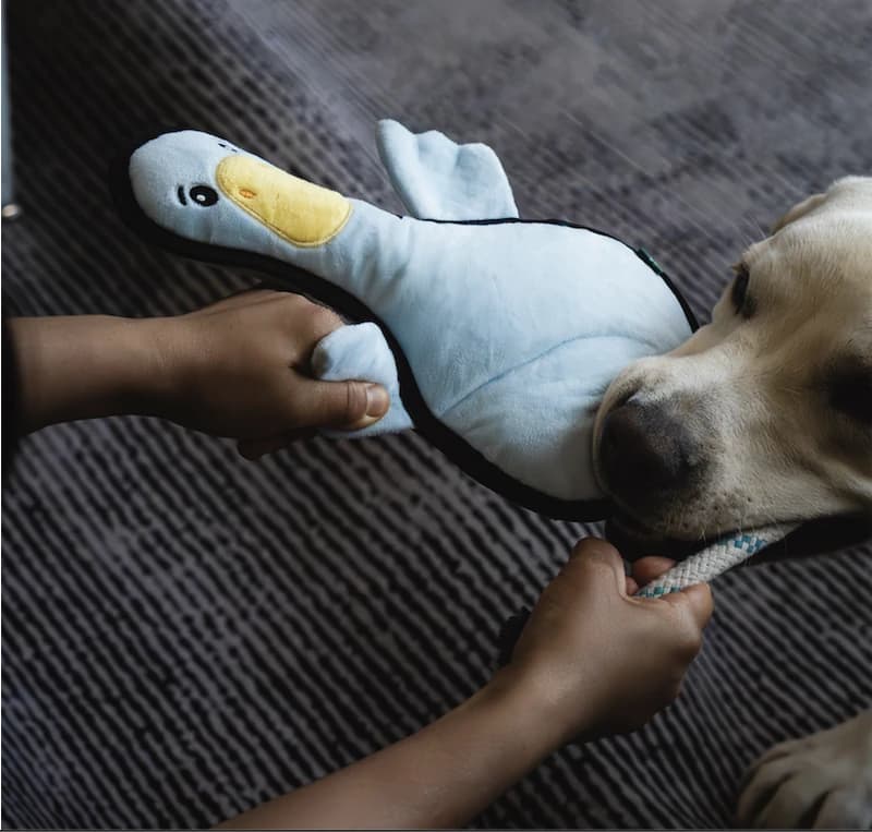 Verdara Farmyard Friends Adventure Toy - Image 13