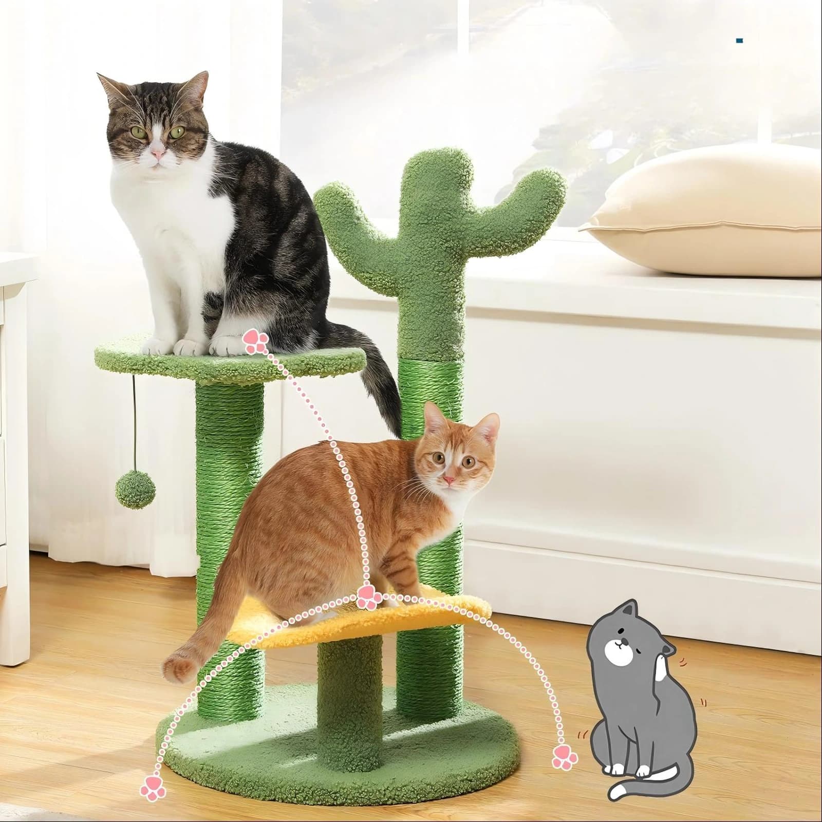 Post da raschada Cactus - Image 1