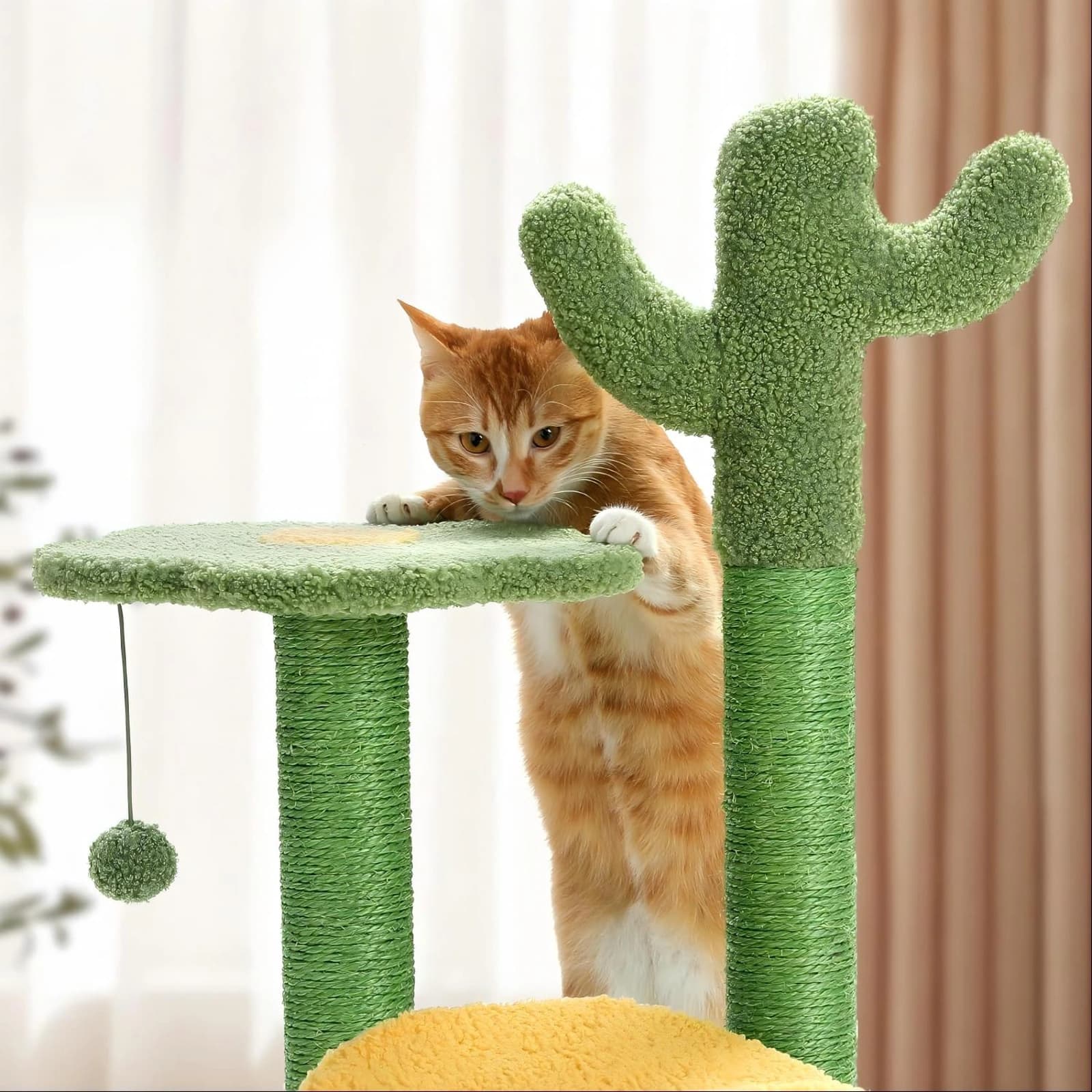 Post da raschada Cactus - Image 5