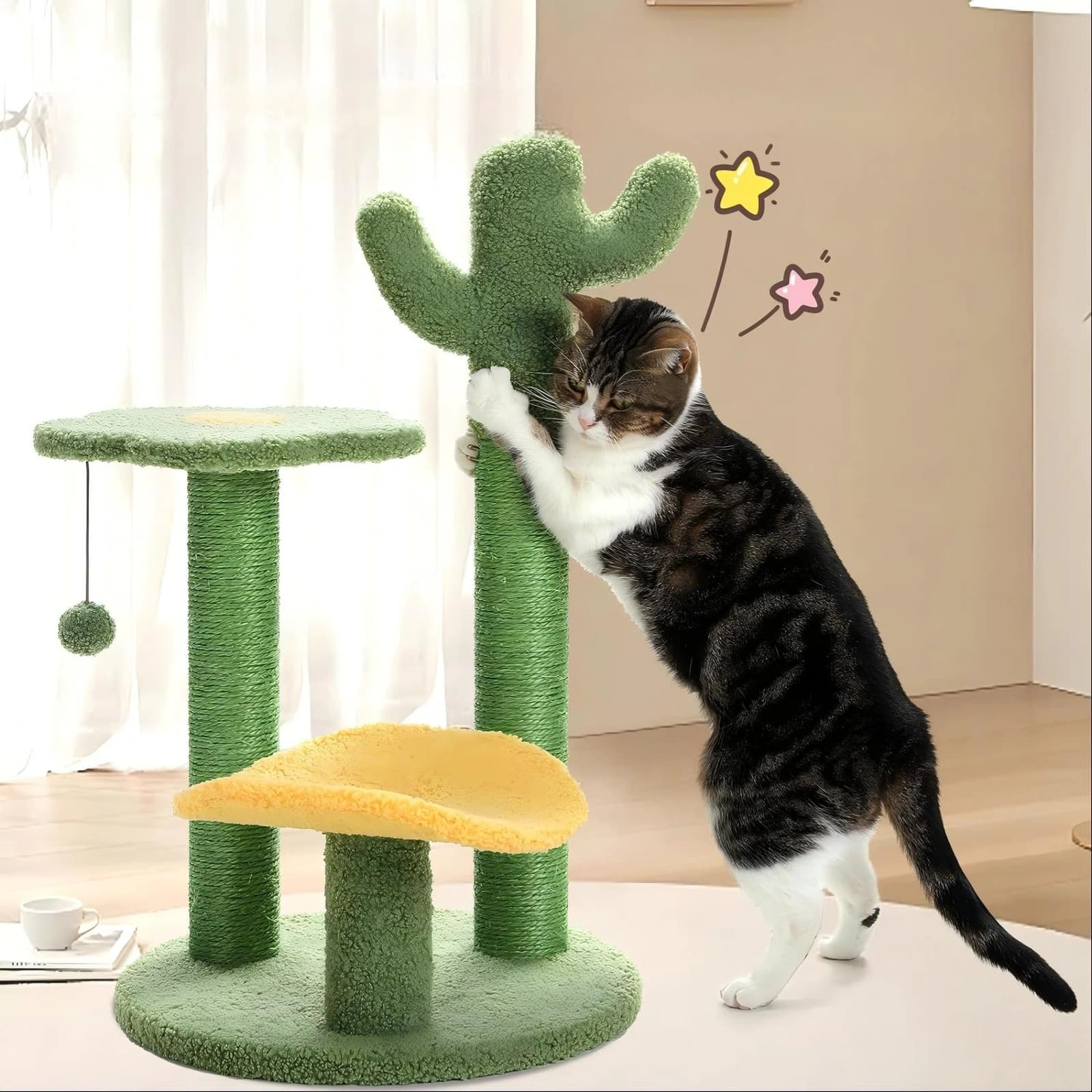 Post da raschada Cactus - Image 2