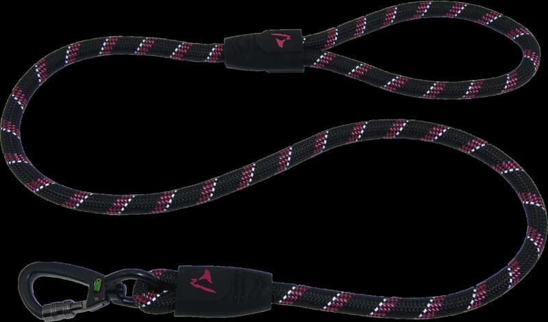 TrailPaw LockSnap Rope Leash - Image 1