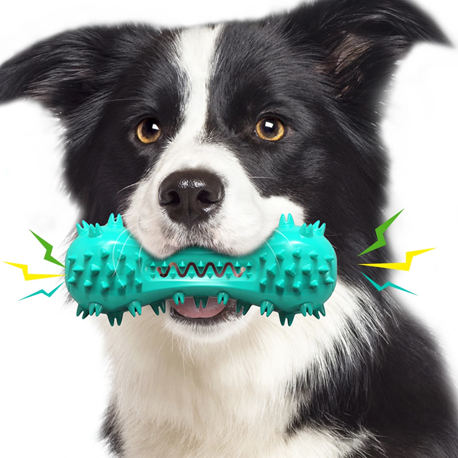 SqueakBrush Dental-Kauspielzeug - Image 1