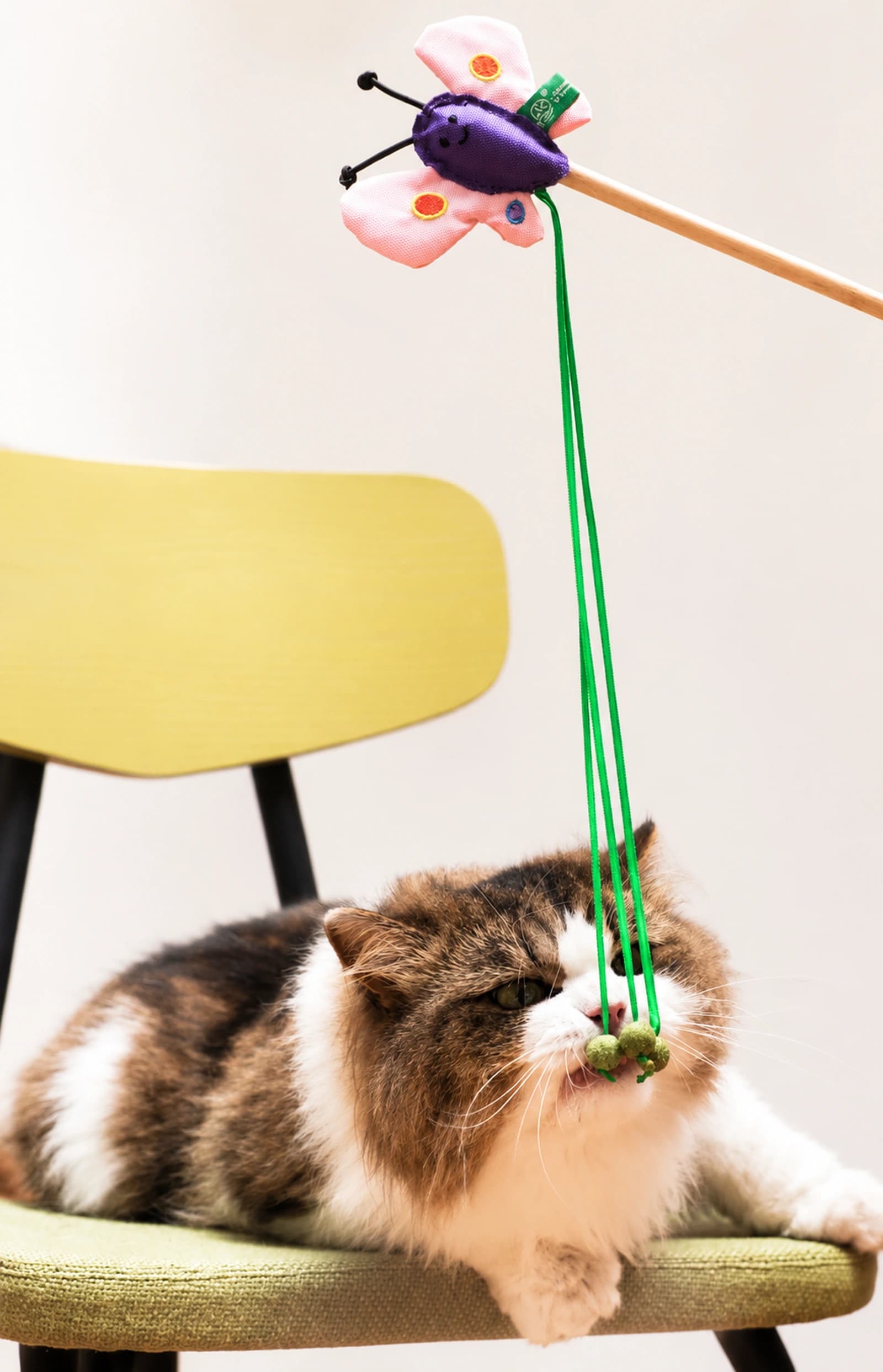Muse Katzenminze-Ballstab - Image 15