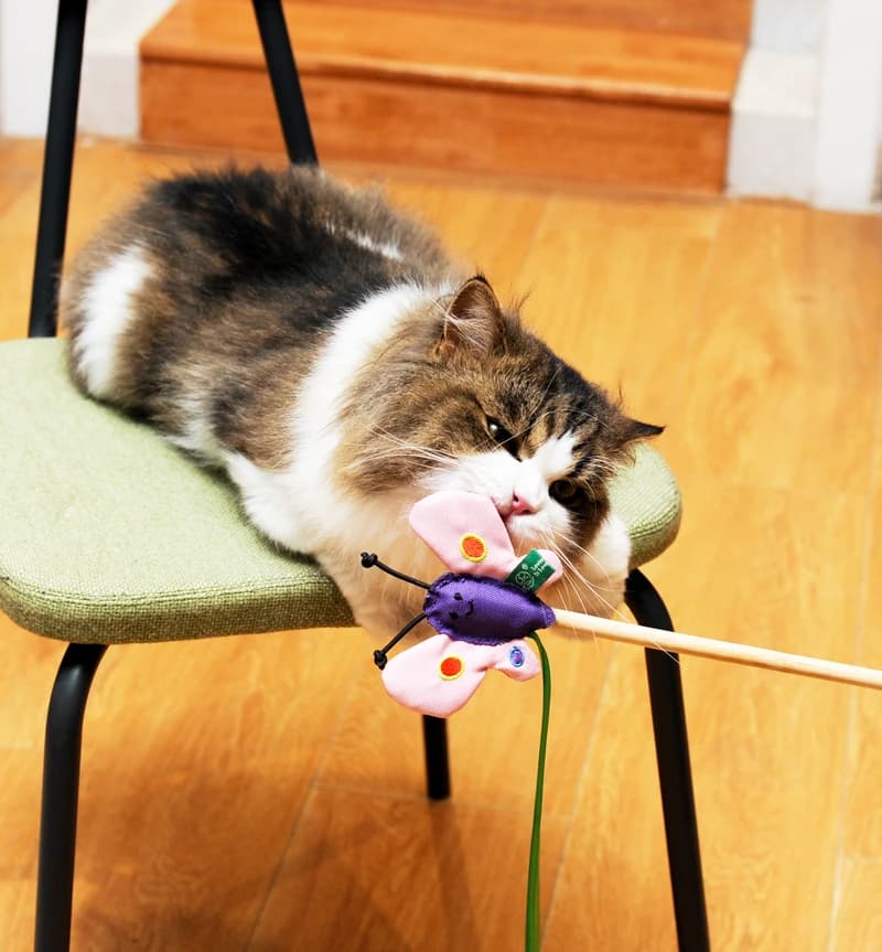 Verdara Muse Catnip Ball Wand - Image 20